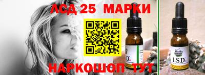 гашик Берёзовский