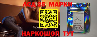 гашик Берёзовский