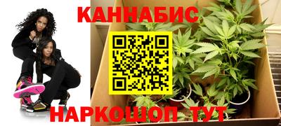 гашик Берёзовский