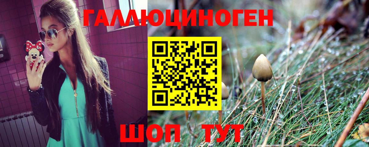 Псилоцибиновые грибы Cubensis Киселёвск