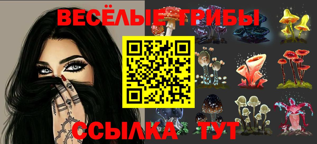 Киселёвск  Псилоцибиновые грибы ЛСД  Вход с VPN 