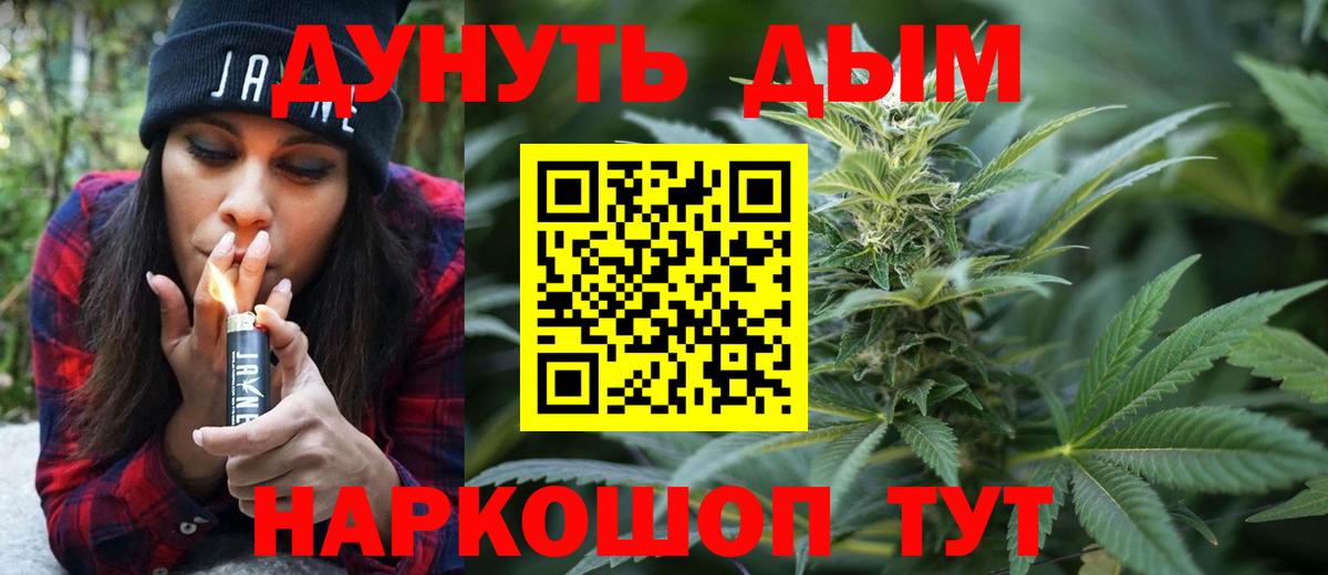 Бошки Шишки AK-47  Конопля план  Вход с VPN  Киселёвск  Шишки марихуана White Widow 