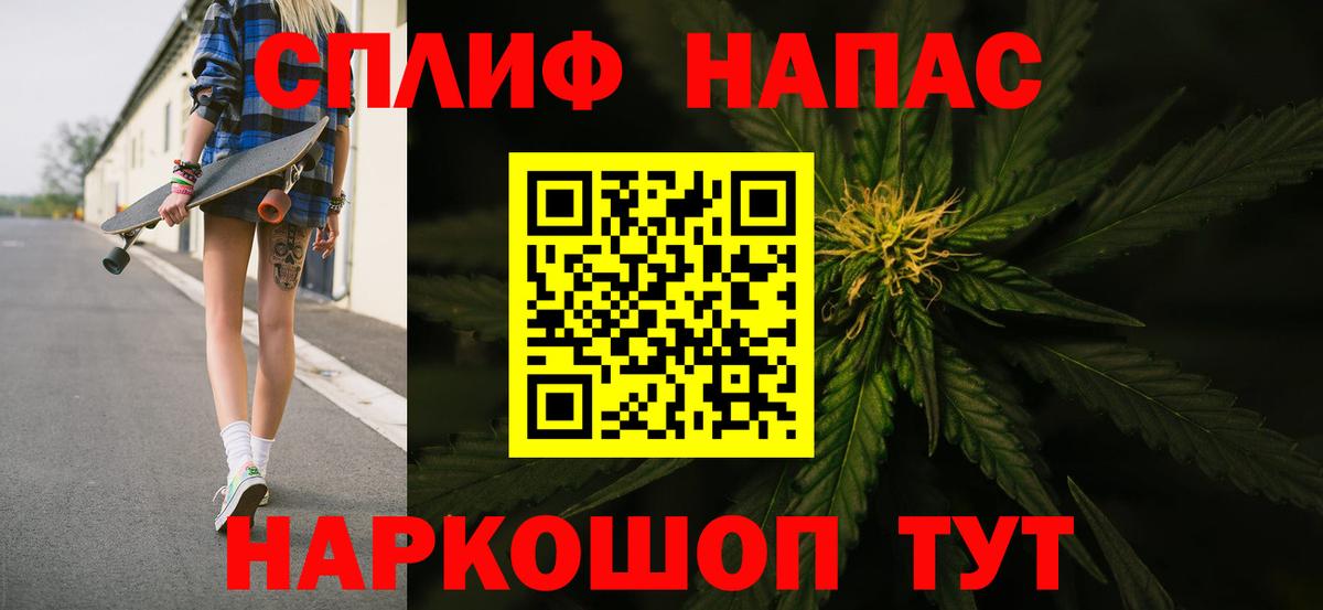 Каннабис сатива Киселёвск